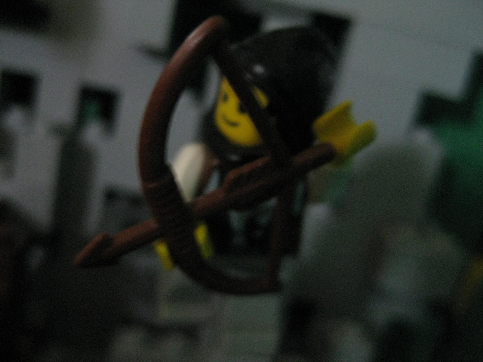 7094_179.jpg