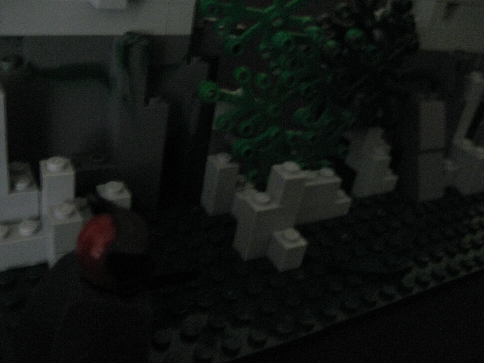 571_003.jpg