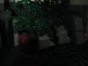 571_004.jpg