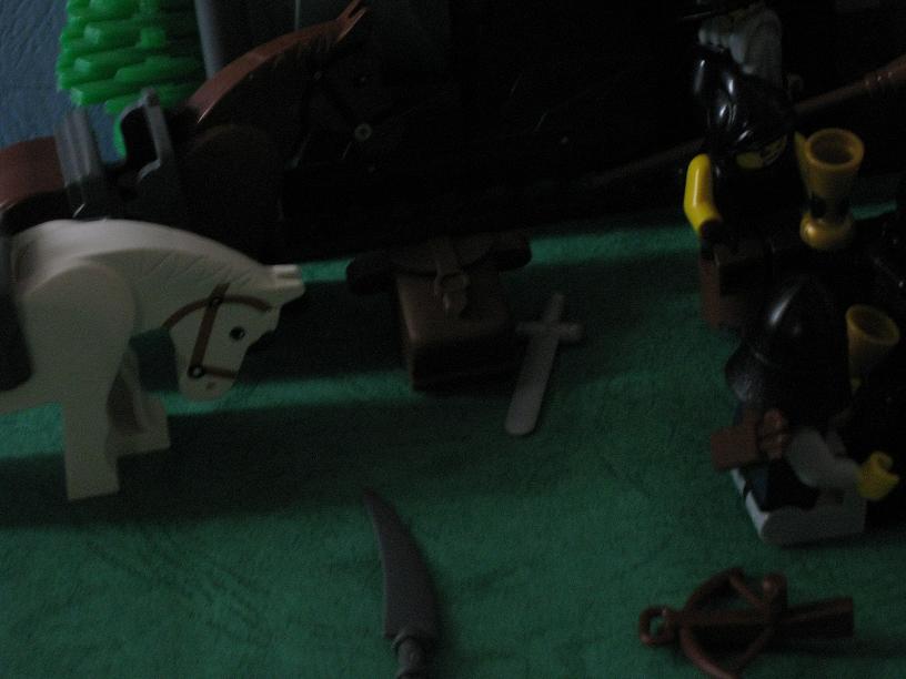 8754_094.jpg
