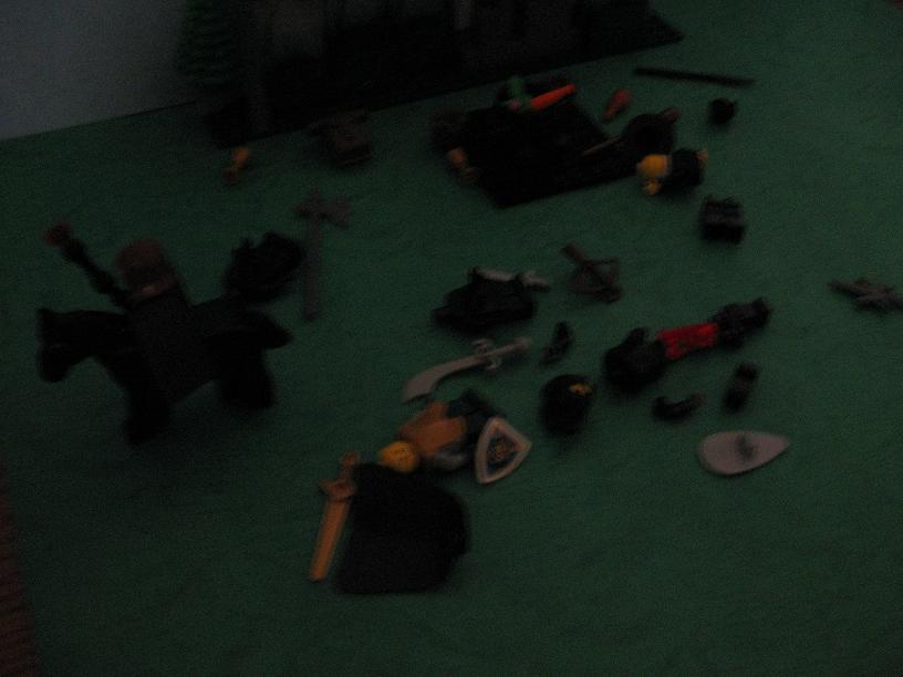 8754_123.jpg