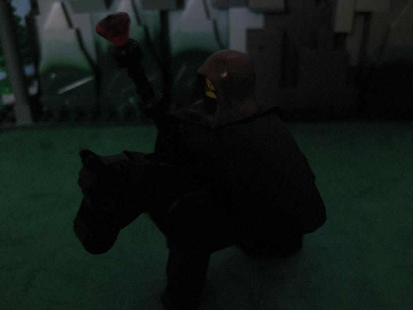 8754_125.jpg
