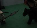 8754_106.jpg