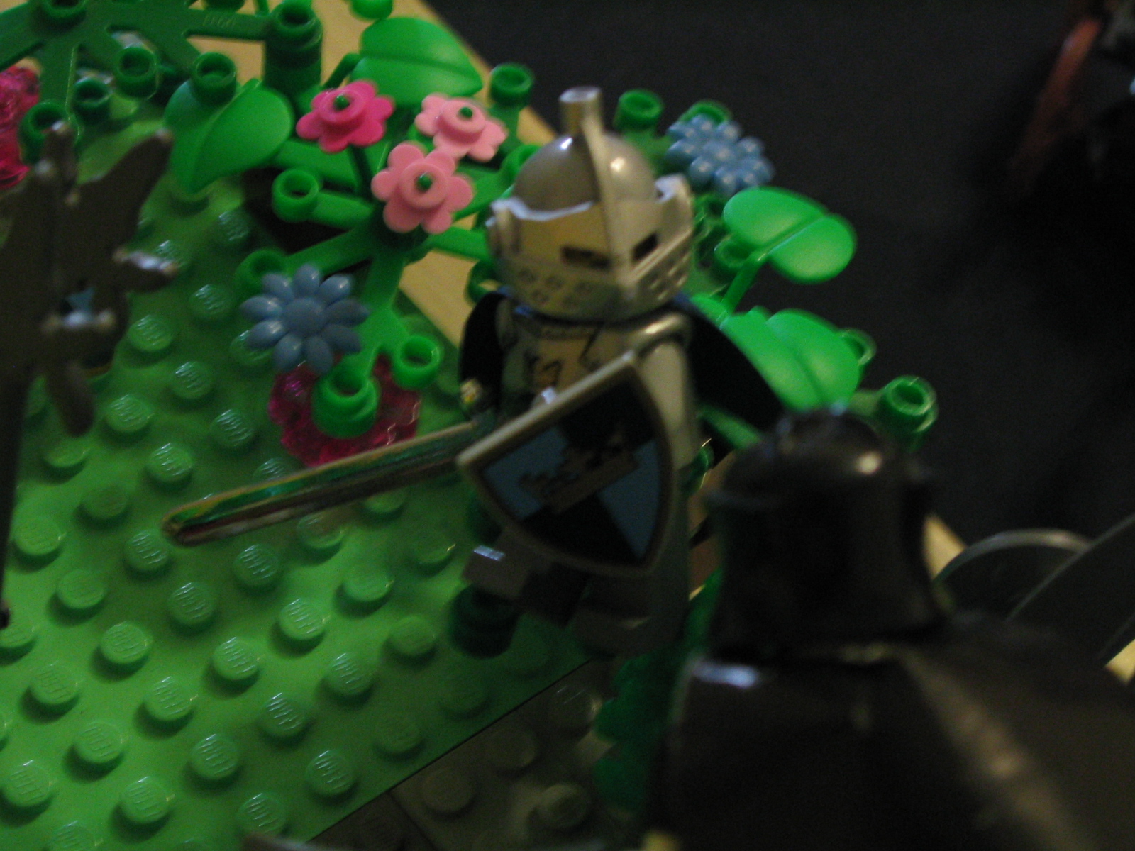 5_006.jpg