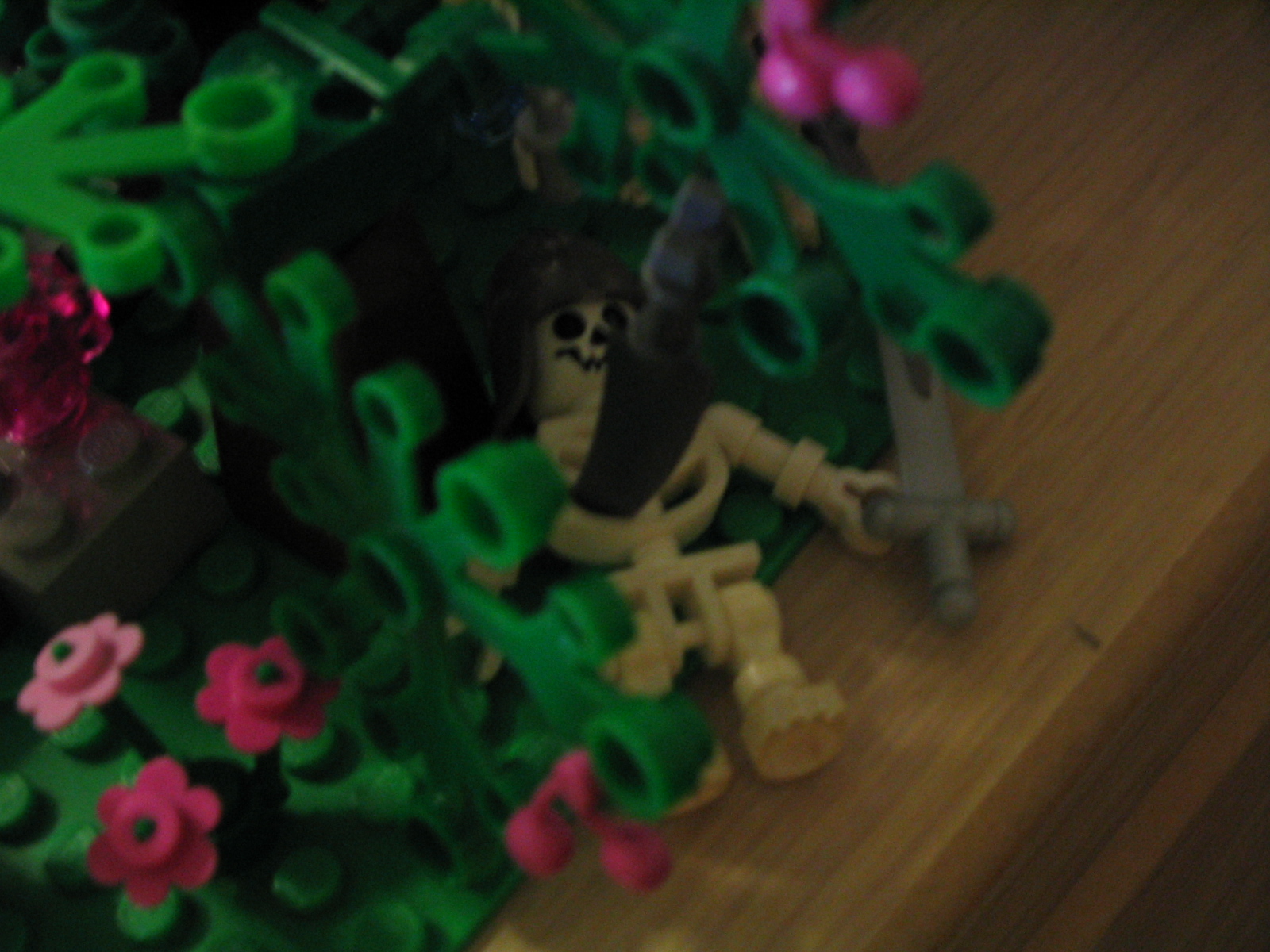 5_008.jpg