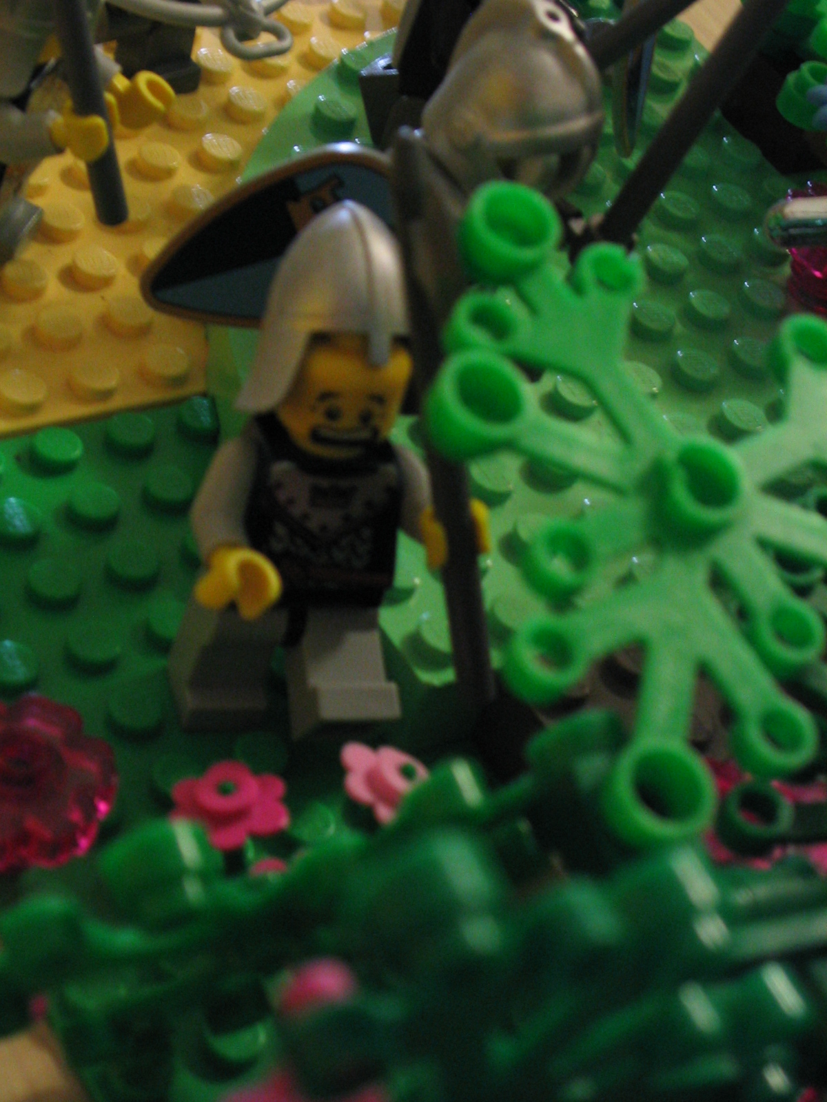 5_009.jpg