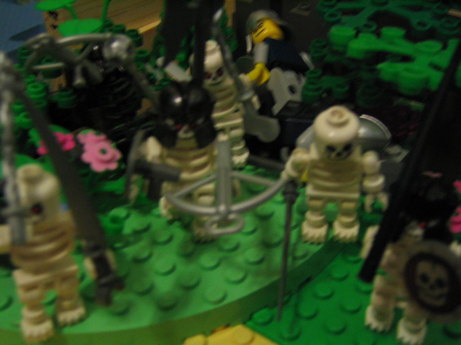 5_043.jpg