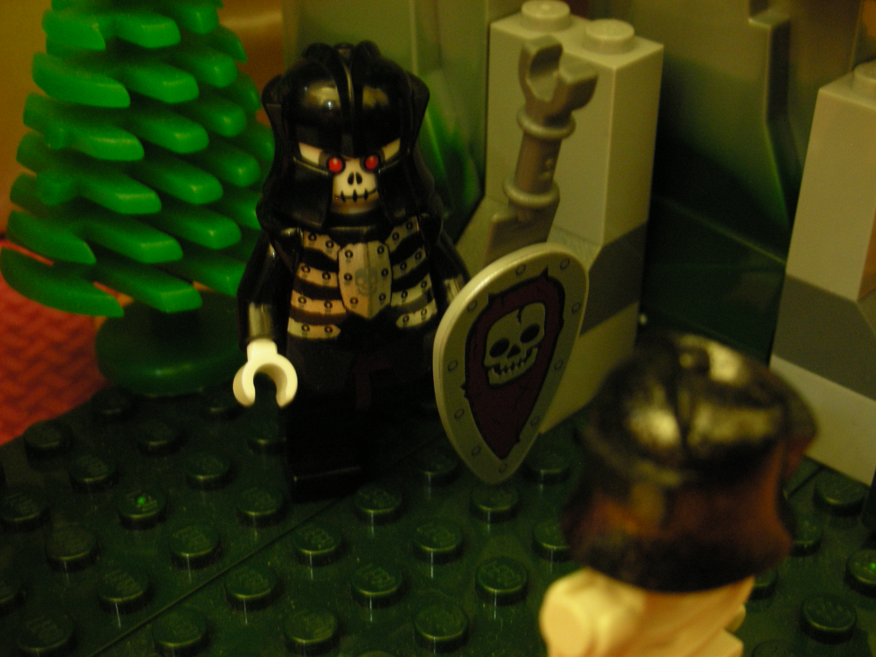7_003.jpg