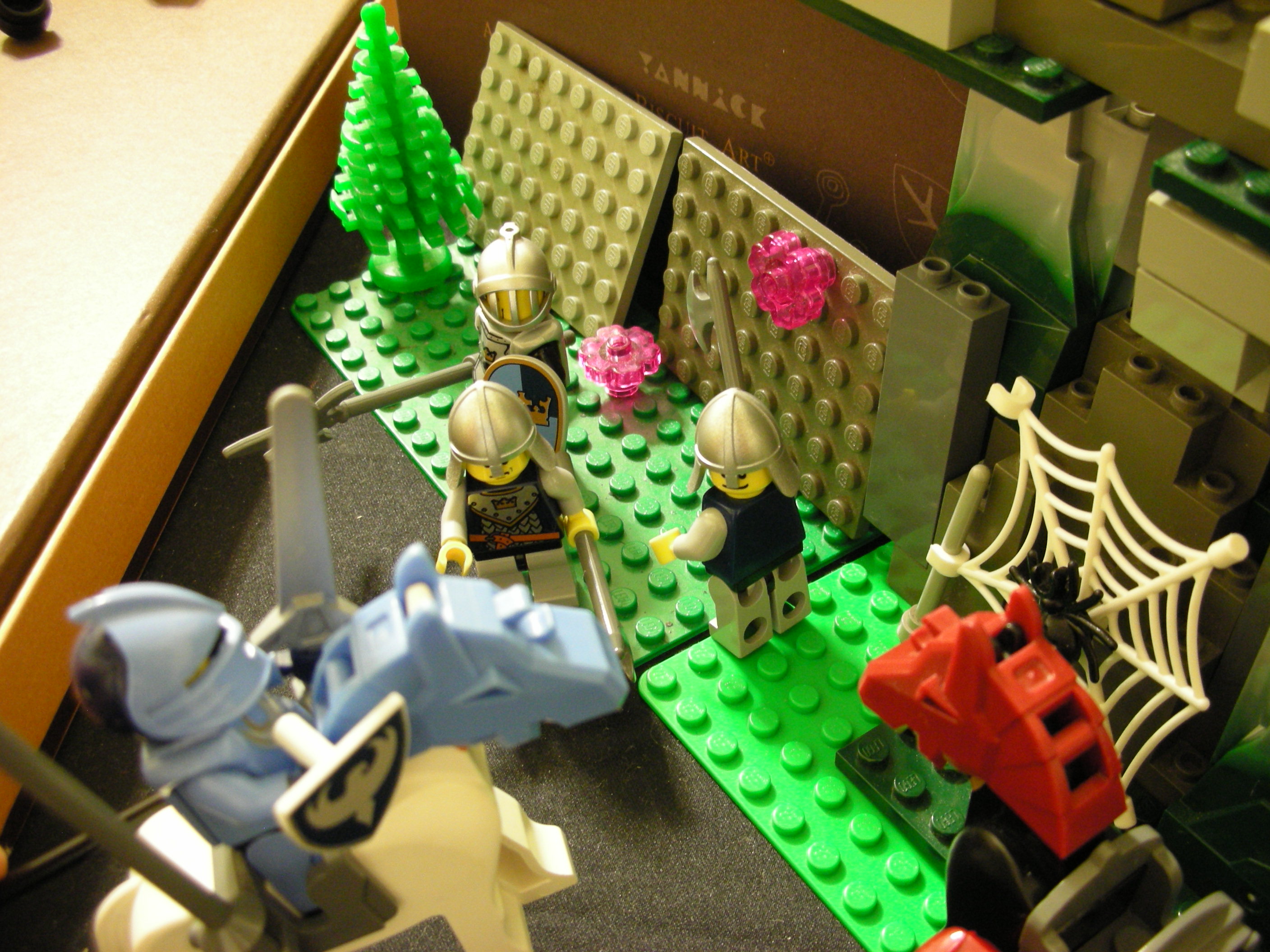 161.jpg