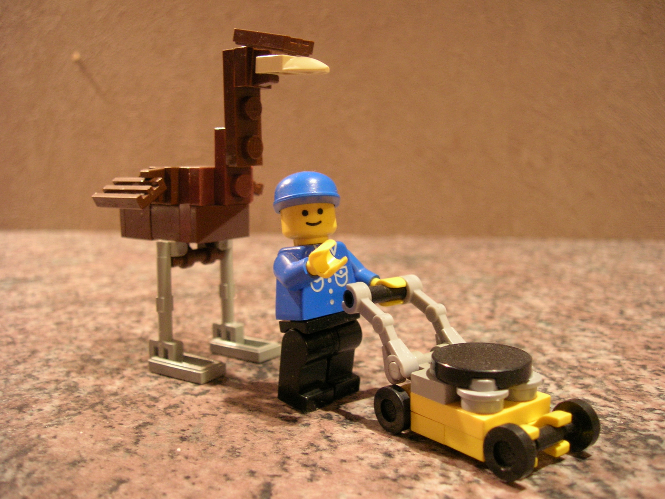 picture_1233.jpg