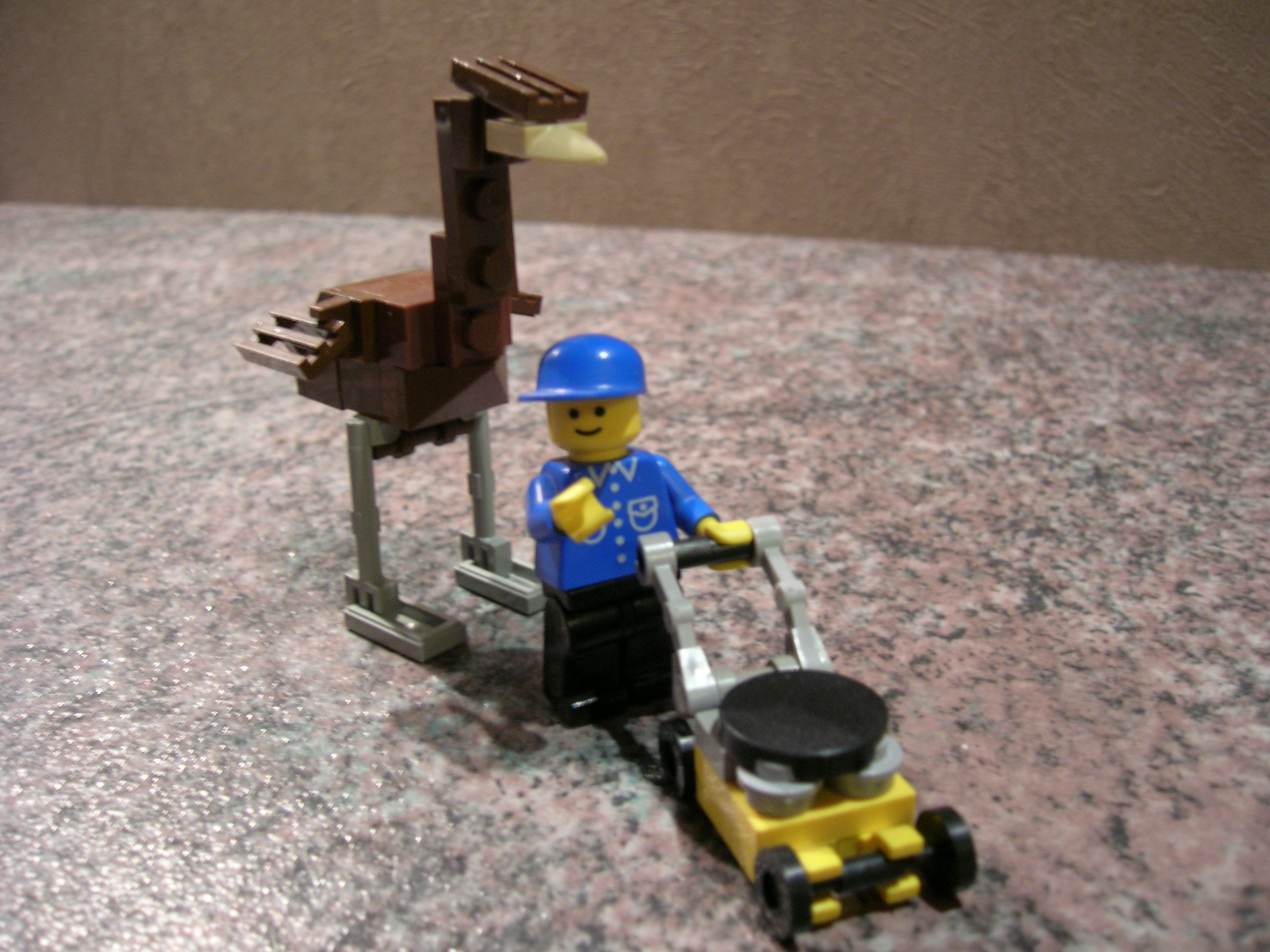 picture_1235.jpg