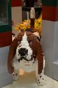 dsc_4359_046.jpg