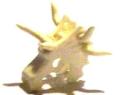 horse_bone_mask.jpg