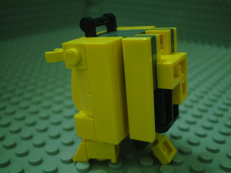 005.jpg