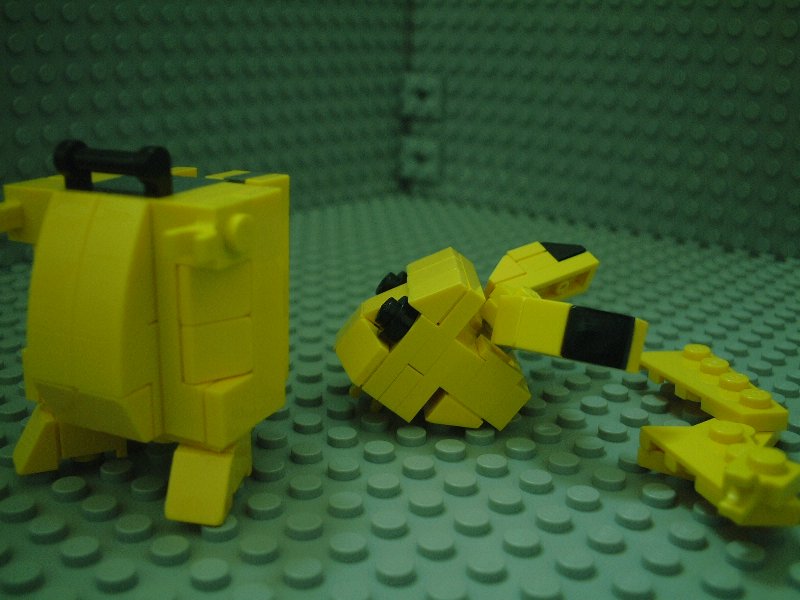 011.jpg