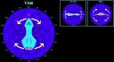 yaw.jpg