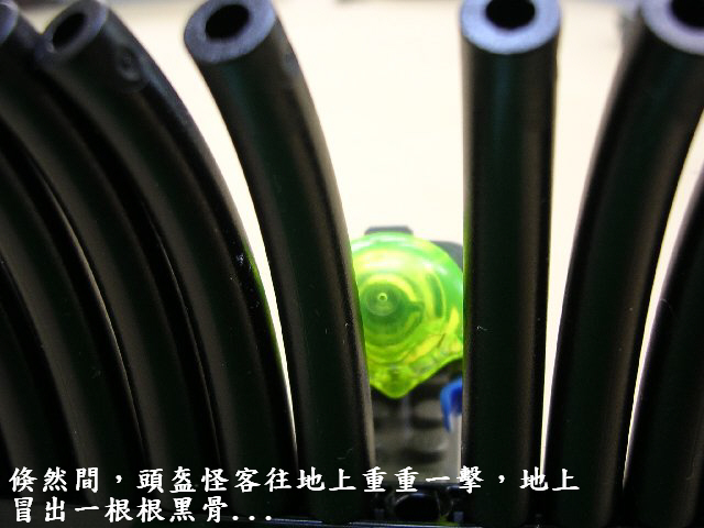 rb03.jpg