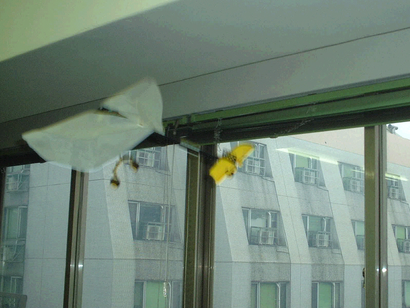fly01.jpg