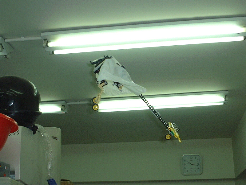 fly03.jpg
