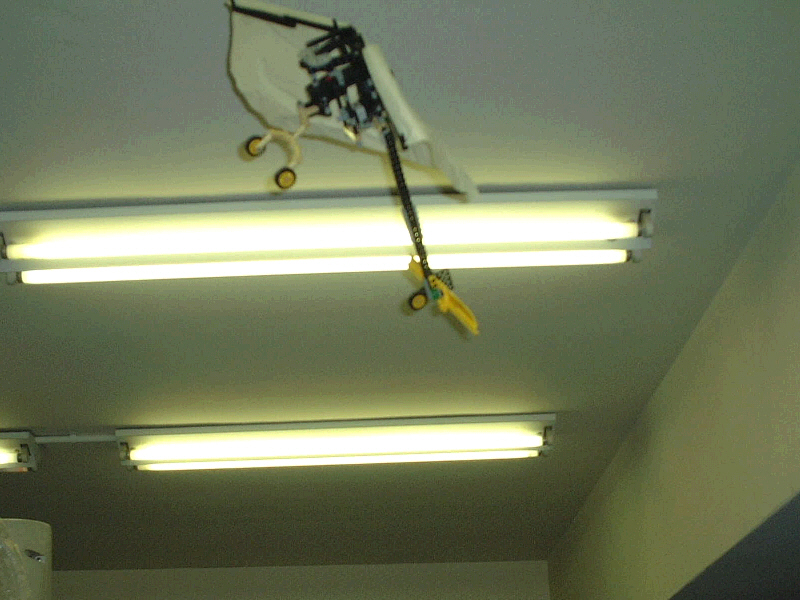 fly04.jpg