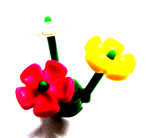 plant-flower2.jpg