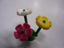plant-flower.jpg