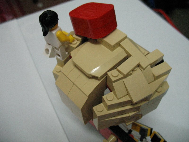 06.jpg