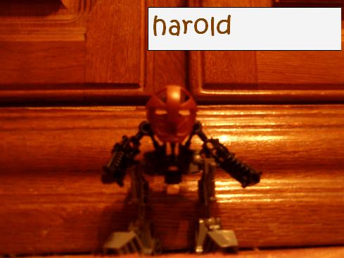 harold.jpg