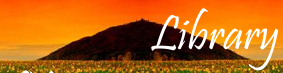 blog_banner_12.png