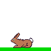 bunny.gif