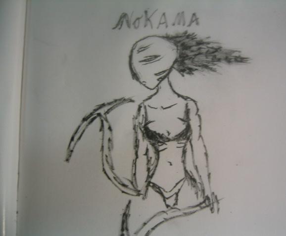 nokama.jpg