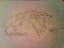 dsc00581.jpg