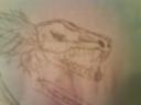 dsc00582.jpg