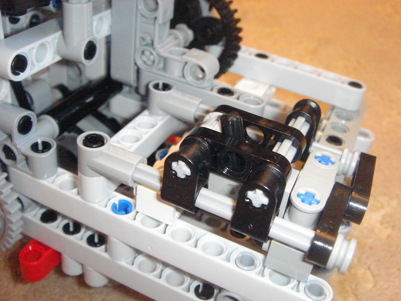 dsc08782.jpg