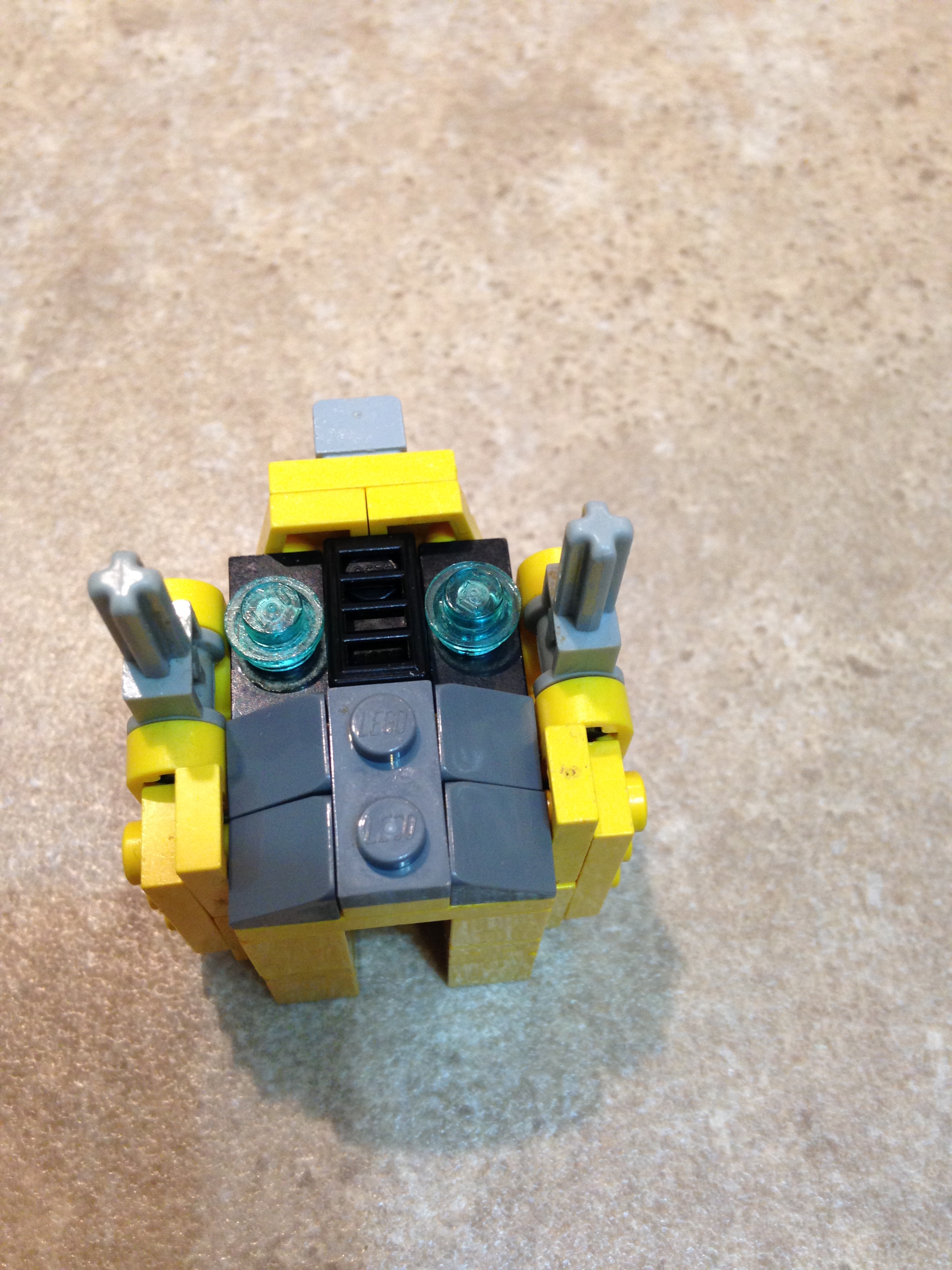 head2.jpg