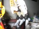 bionicleyyeyeyyeye_008.jpg