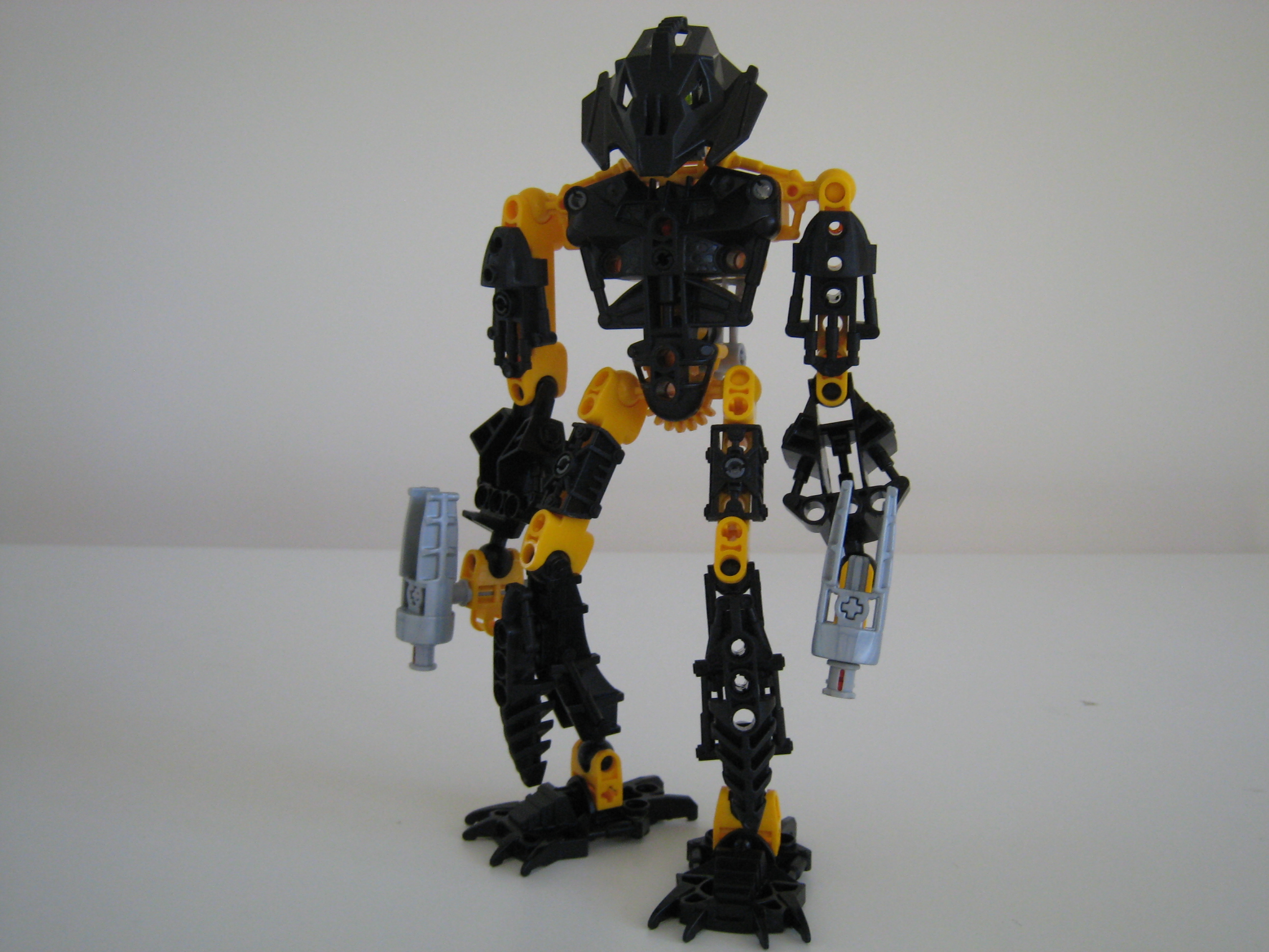 toa_ent.jpg