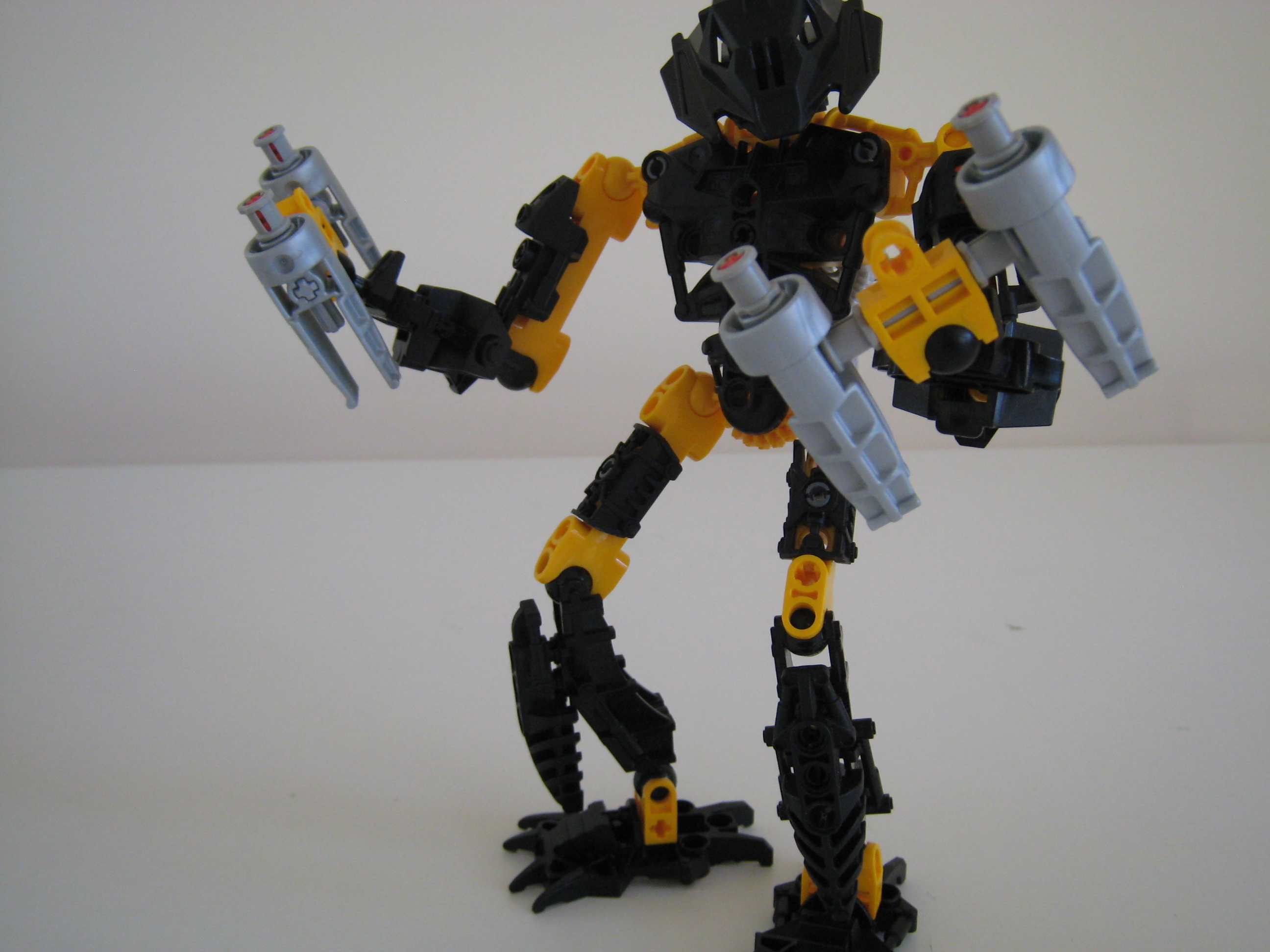 toa_ent_pose.jpg