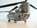 chinook_02.jpg