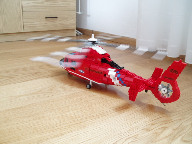dolphin05.jpg