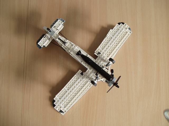 swordfish_07.jpg
