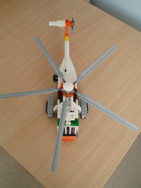 seaking_08.jpg