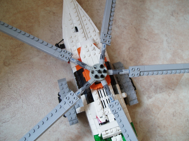 seaking_15.jpg