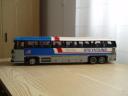 greyhound_01.jpg