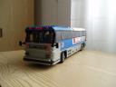 greyhound_05.jpg