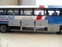 greyhound_09.jpg