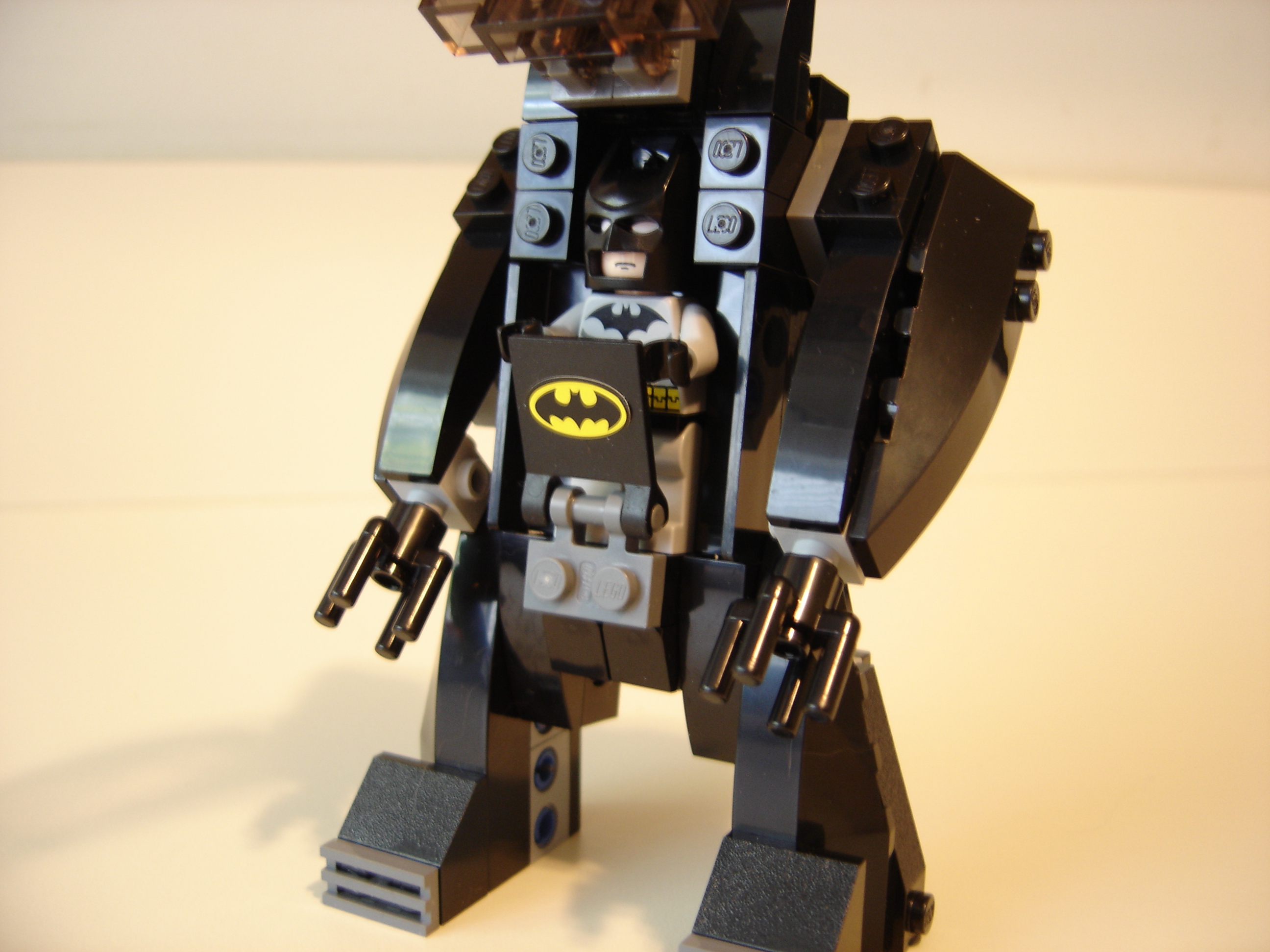 bat-bot_009.jpg