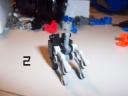 insect03.jpg