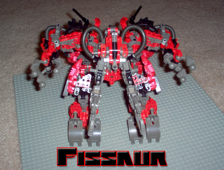 fissaur1.jpg