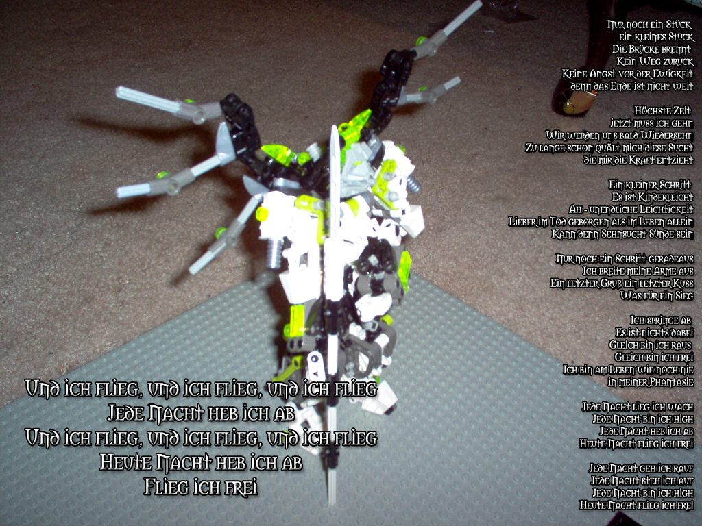 freiflug.jpg